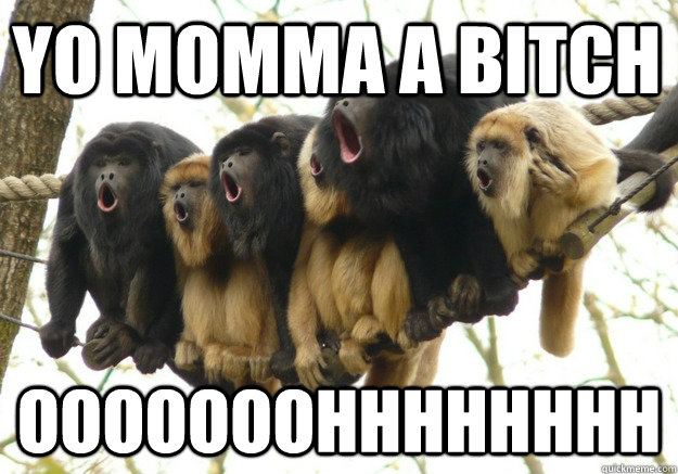 Yo Momma a bitch OOOOOOOhhhhhhhh  Shock and Awe Monkeys