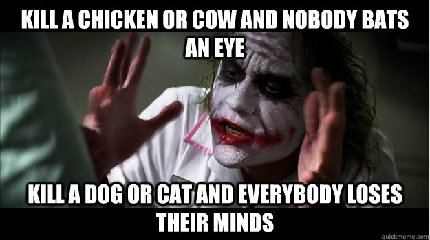 kill a chicken or cow and nobody bats an eye kill a dog or cat and everybody loses their minds  Joker Mind Loss