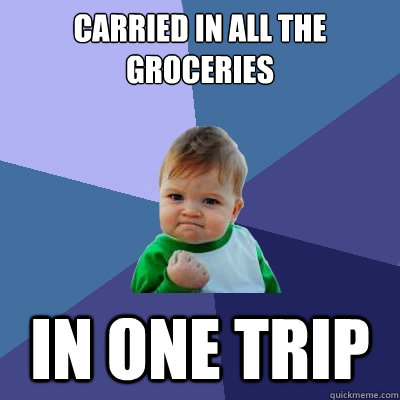 Carried in all the groceries In one trip  Success Kid