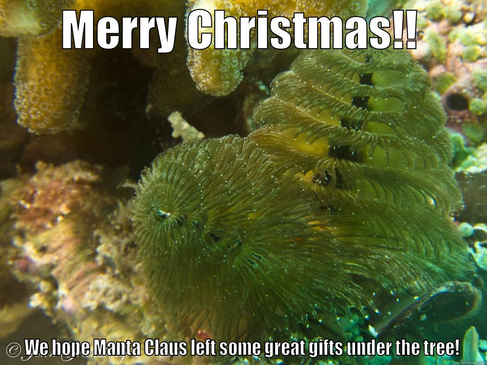 MERRY CHRISTMAS!! WE HOPE MANTA CLAUS LEFT SOME GREAT GIFTS UNDER THE TREE! Misc