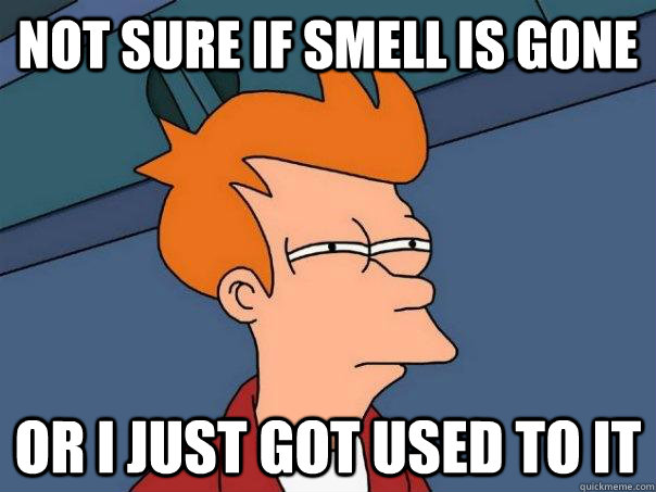 Not sure if smell is gone or I just got used to it - Not sure if smell is gone or I just got used to it  Futurama Fry