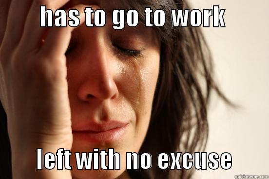         HAS TO GO TO WORK                   LEFT WITH NO EXCUSE        First World Problems