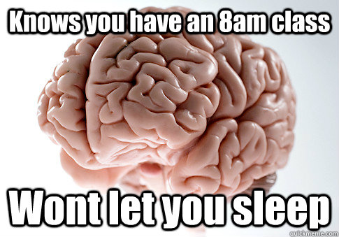 Knows you have an 8am class Wont let you sleep   Scumbag Brain