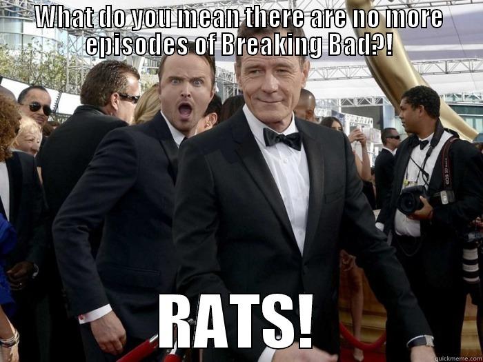 WHAT DO YOU MEAN THERE ARE NO MORE EPISODES OF BREAKING BAD?! RATS! Misc