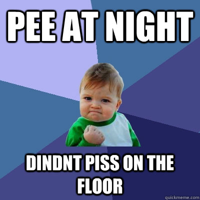 pee at night dindnt piss on the floor  Success Kid