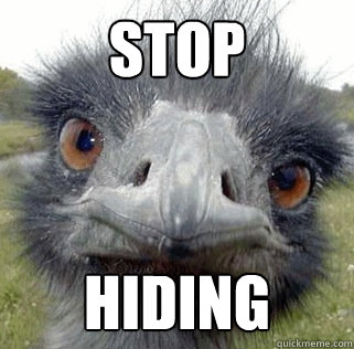 Stop Hiding - Stop Hiding  Seeing Ostrich