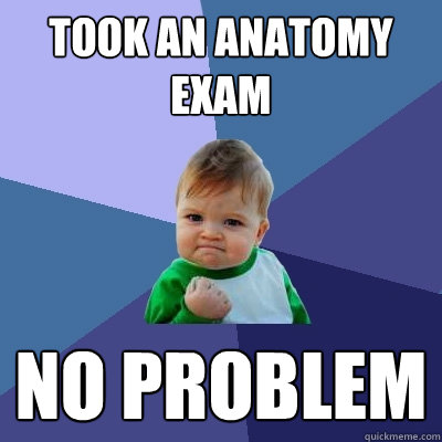 took an anatomy exam no problem  Success Kid