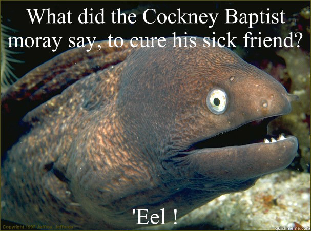 What did the Cockney Baptist moray say, to cure his sick friend? 'Eel !  Bad Joke Eel