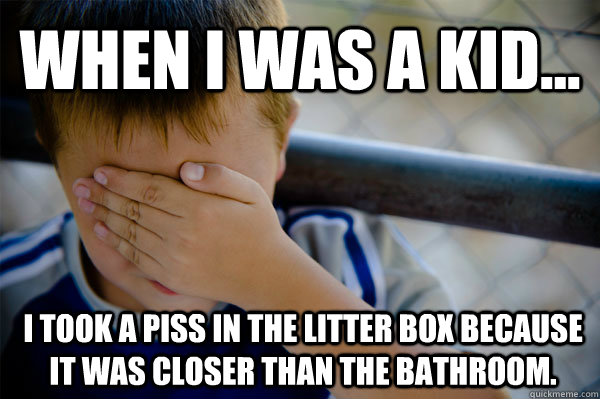 WHEN I WAS A KID... I took a piss in the litter box because it was closer than the bathroom.  Confession kid