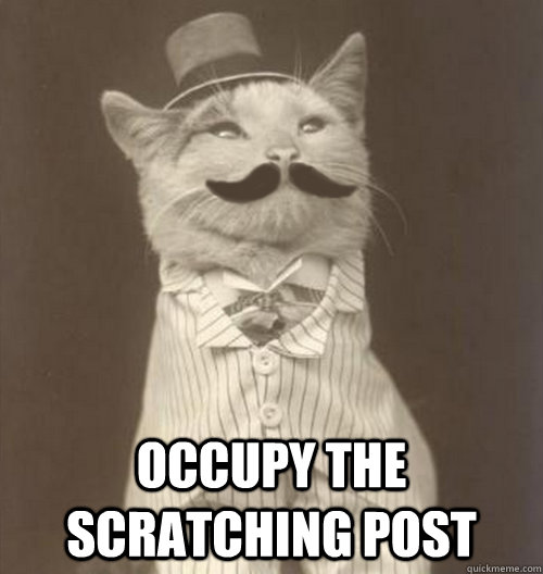  Occupy the scratching post  Original Business Cat