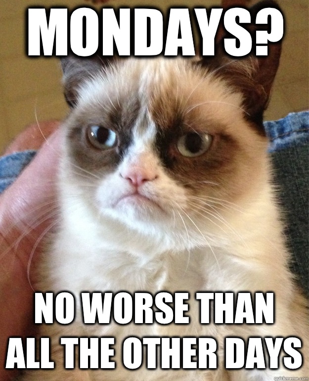 Mondays? No worse than all the other days  Grumpy Cat