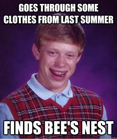 Goes through some clothes from last summer finds bee's nest  Bad Luck Brian