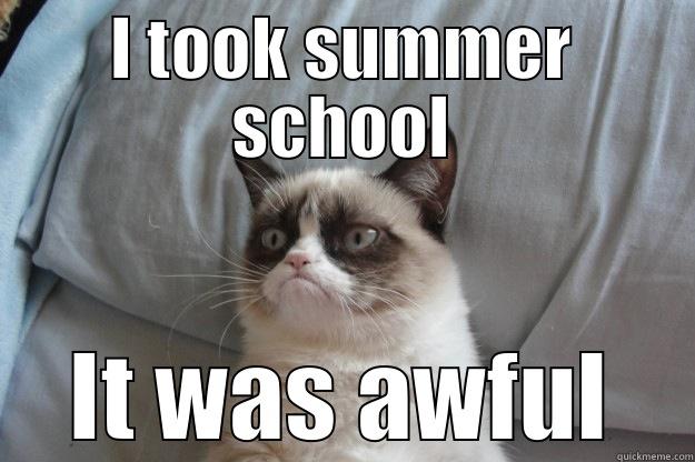 I TOOK SUMMER SCHOOL IT WAS AWFUL Grumpy Cat