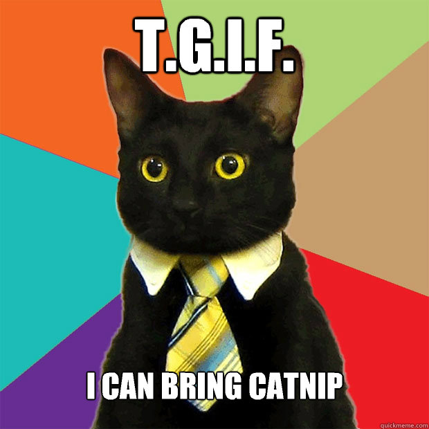 t.g.I.f. I can bring catnip  Business Cat