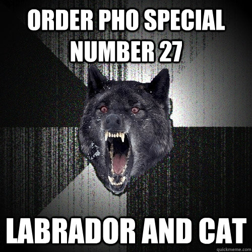 Order Pho special number 27 Labrador and cat  Insanity Wolf