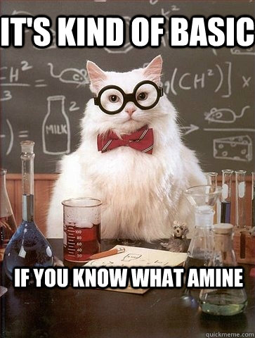 IT'S KIND OF BASIC IF YOU KNOW WHAT AMINE  Chemistry Cat