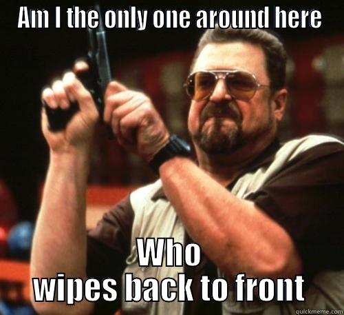 AM I THE ONLY ONE AROUND HERE WHO WIPES BACK TO FRONT Am I The Only One Around Here