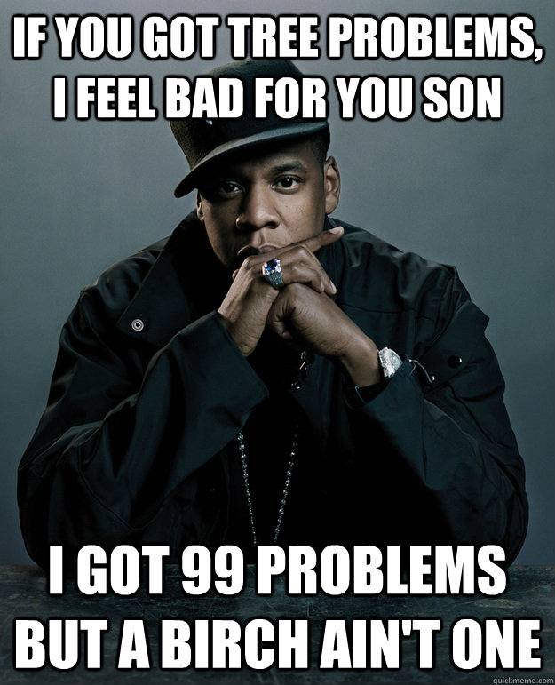 if you got tree problems, i feel bad for you son i got 99 problems but a birch ain't one  Jay-Z 99 Problems