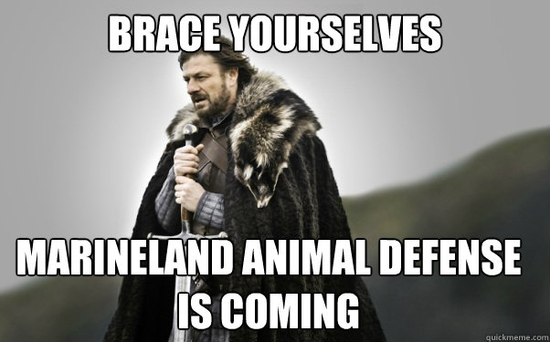 BRACE YOURSELVES Marineland Animal Defense is Coming   Ned Stark