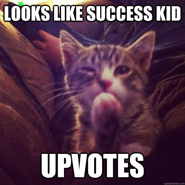 looks like success kid upvotes  Success Kitten