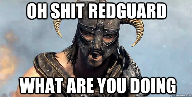 Oh shit redguard What are you doing  skyrim