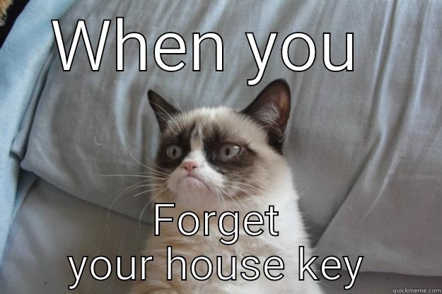 WHEN YOU  FORGET YOUR HOUSE KEY Grumpy Cat