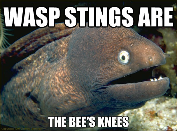 WASP STINGS ARE  THE BEE'S KNEES - WASP STINGS ARE  THE BEE'S KNEES  Bad Joke Eel