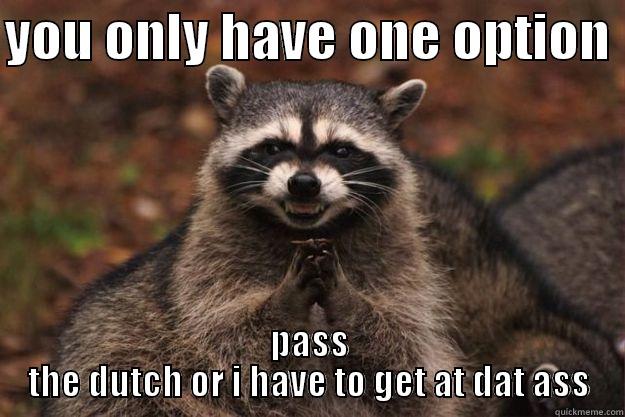 YOU ONLY HAVE ONE OPTION  PASS THE DUTCH OR I HAVE TO GET AT DAT ASS Evil Plotting Raccoon