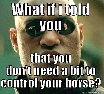 WHAT IF I TOLD YOU THAT YOU DON'T NEED A BIT TO CONTROL YOUR HORSE? Matrix Morpheus