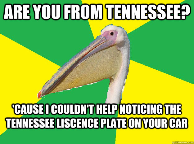 Are you from Tennessee? 'Cause I couldn't help noticing the Tennessee liscence plate on your car  