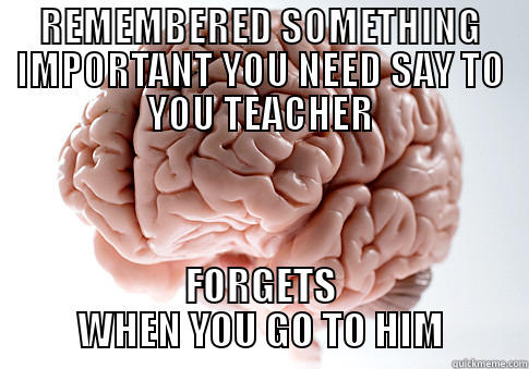 REMEMBERED SOMETHING IMPORTANT YOU NEED SAY TO YOU TEACHER FORGETS WHEN YOU GO TO HIM Scumbag Brain