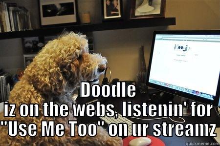  DOODLE IZ ON THE WEBS, LISTENIN' FOR 