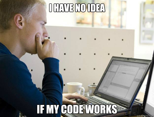 I HAVE NO IDEA IF MY CODE WORKS - I HAVE NO IDEA IF MY CODE WORKS  Programmer