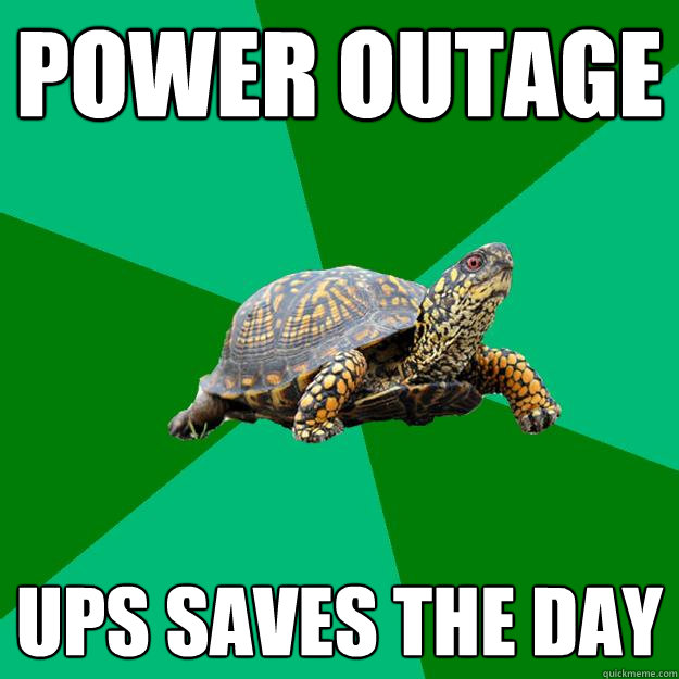 power outage ups saves the day  Torrenting Turtle