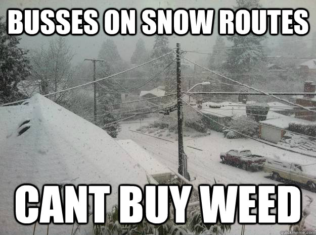 BUSSES ON SNOW ROUTES CANT BUY WEED  first world seattle problem