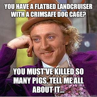 You have a flatbed landcruiser with a crimsafe dog cage? You must've killed so many pigs, tell me all about it...  Creepy Wonka