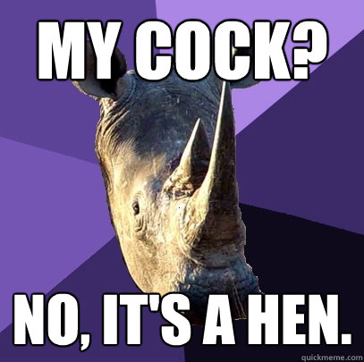 My cock? No, it's a hen.  Sexually Oblivious Rhino