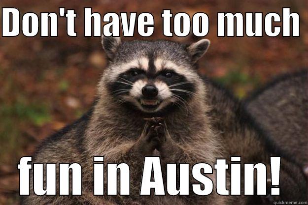 The raccoon is worried - DON'T HAVE TOO MUCH  FUN IN AUSTIN! Evil Plotting Raccoon