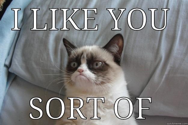 I LIKE YOU SORT OF Grumpy Cat