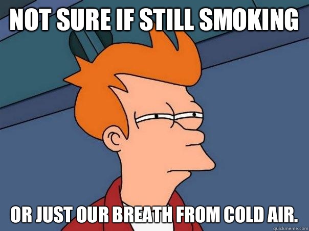 Not sure if still smoking Or just our breath from cold air. - Not sure if still smoking Or just our breath from cold air.  Futurama Fry