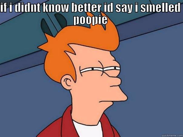 foul odor - IF I DIDNT KNOW BETTER ID SAY I SMELLED POOPIE  Futurama Fry