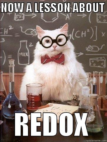 REDOX? RE-DON'T - NOW A LESSON ABOUT  REDOX Chemistry Cat