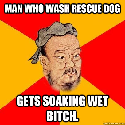 man who wash rescue dog gets soaking wet bitch. - man who wash rescue dog gets soaking wet bitch.  Confucius says