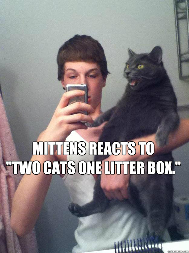 Mittens reacts to            