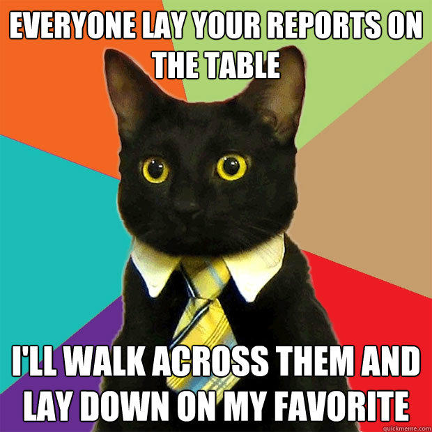 Everyone lay your reports on the table I'll walk across them and lay down on my favorite  