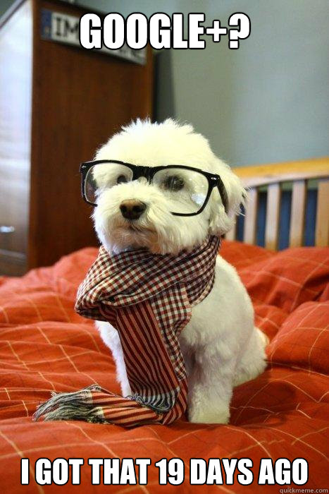 Google+? I got that 19 days ago  Hipster Dog