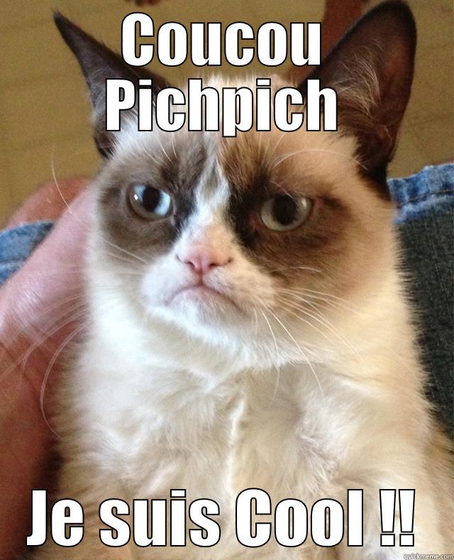 Cat lol - COUCOU PICHPICH JE SUIS COOL !! Misc