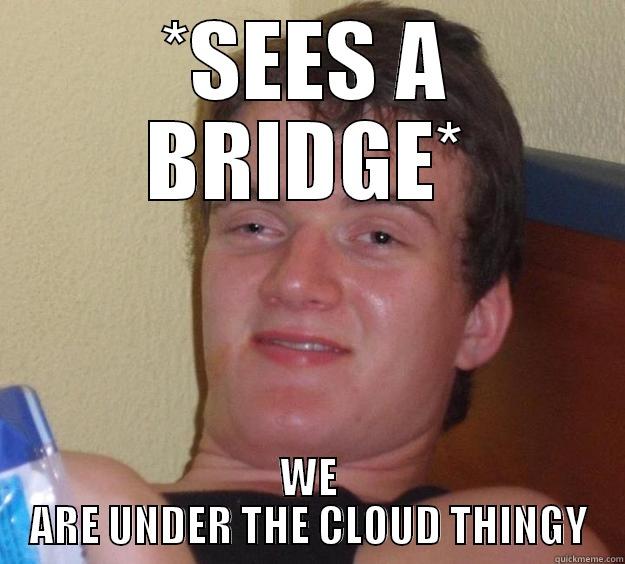 *SEES A BRIDGE* WE ARE UNDER THE CLOUD THINGY 10 Guy