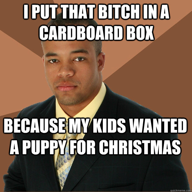 i put that bitch in a cardboard box because my kids wanted a puppy for christmas  Successful Black Man