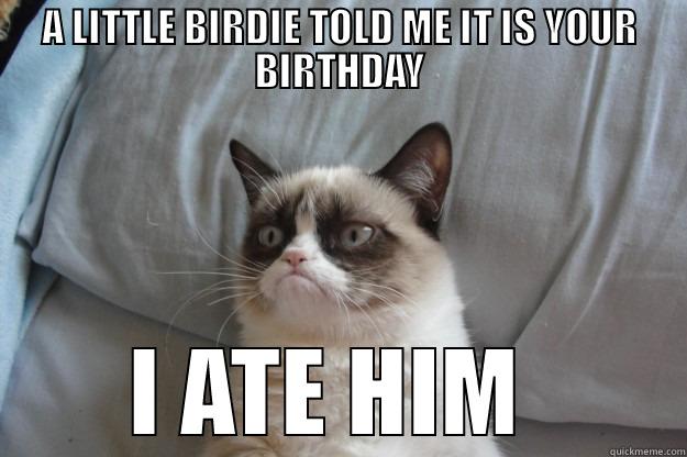 A LITTLE BIRDIE TOLD ME IT IS YOUR BIRTHDAY I ATE HIM  Grumpy Cat